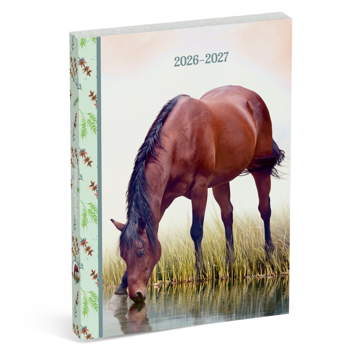 Agenda scolaire Amazon international - cheval brun