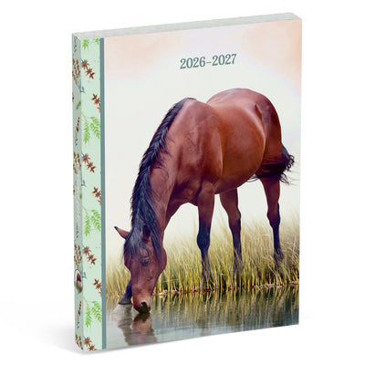 Agenda scolaire Amazon international - cheval brun