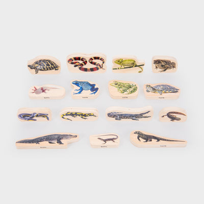 Blocs en bois Tickit® pour reptiles et amphibiens