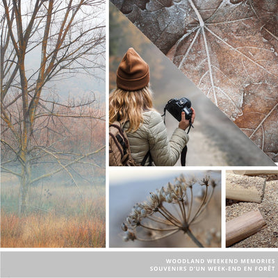 Bougie Yankee - souvenirs du week-end forestier - petit gobelet signature