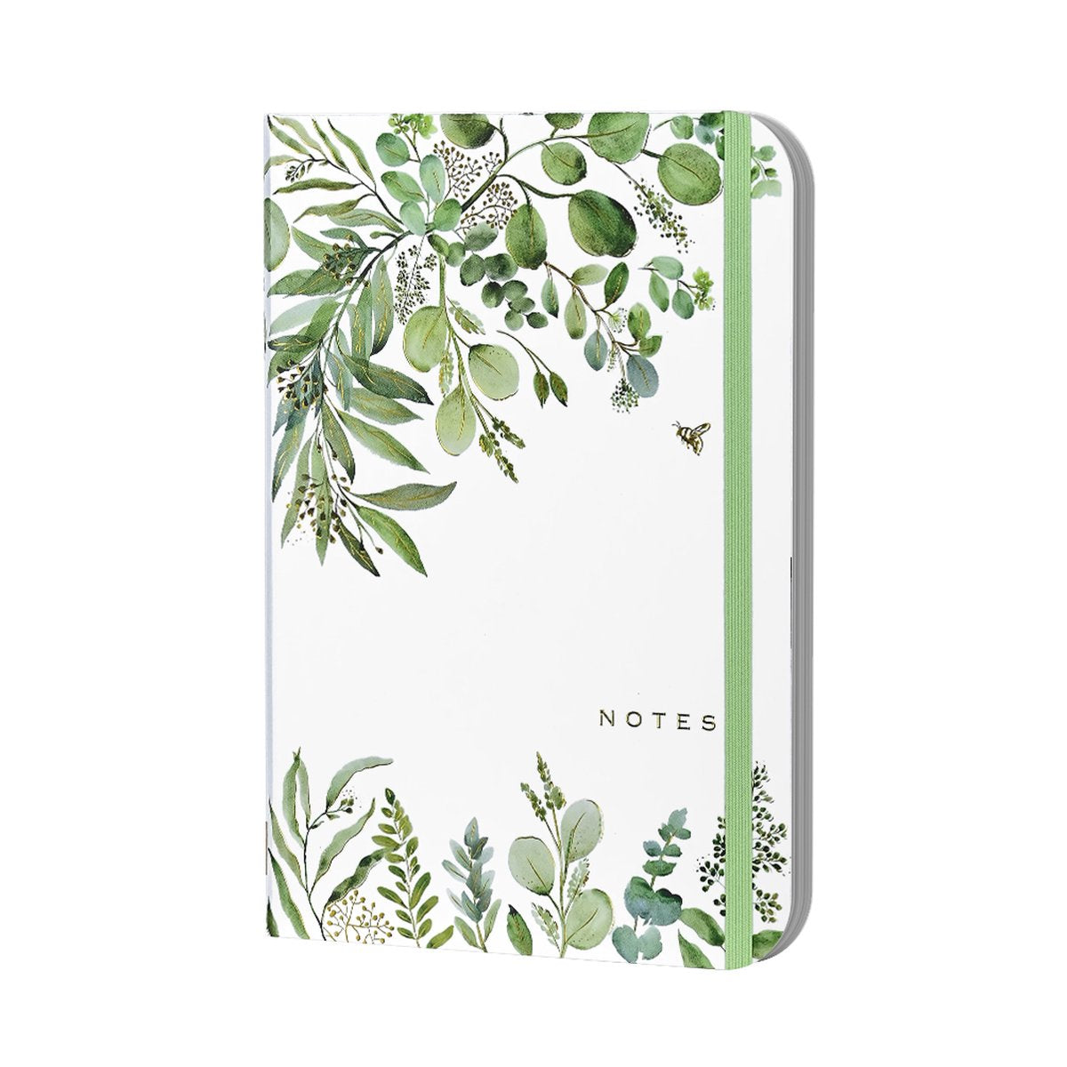 Journal d'eucalyptus Peter Pauvre