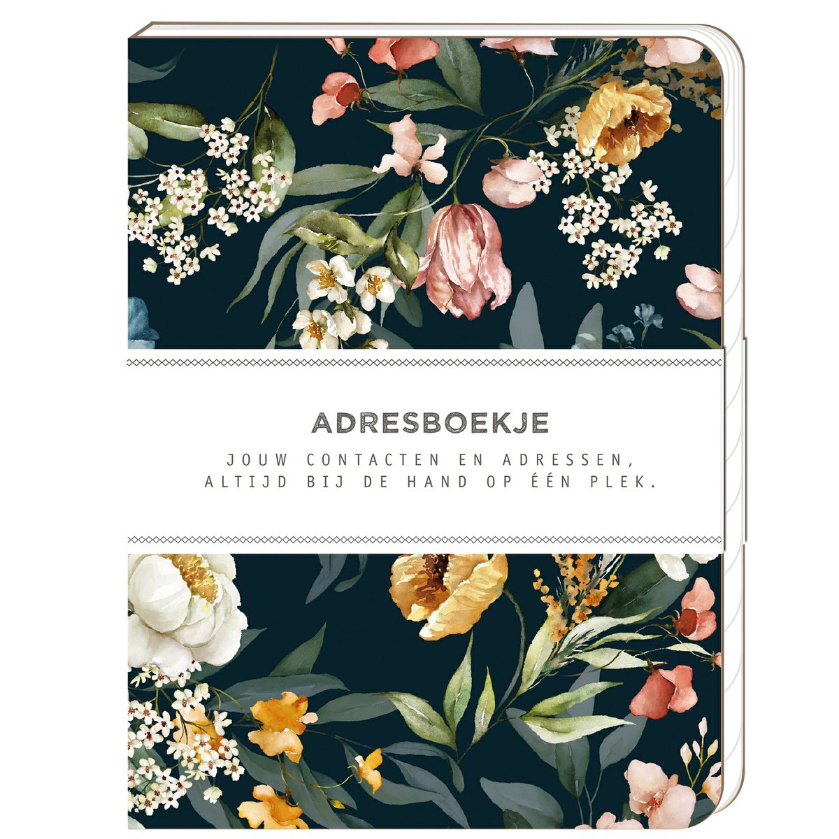 Carnet d'adresses du jardin