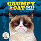 Calendrier mural 2023 : chat grincheux
