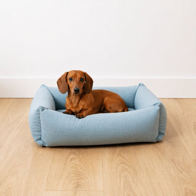 D d home - lit pour chien eden - housse lavable hydrofuge - océan - petit 70x60x20cm