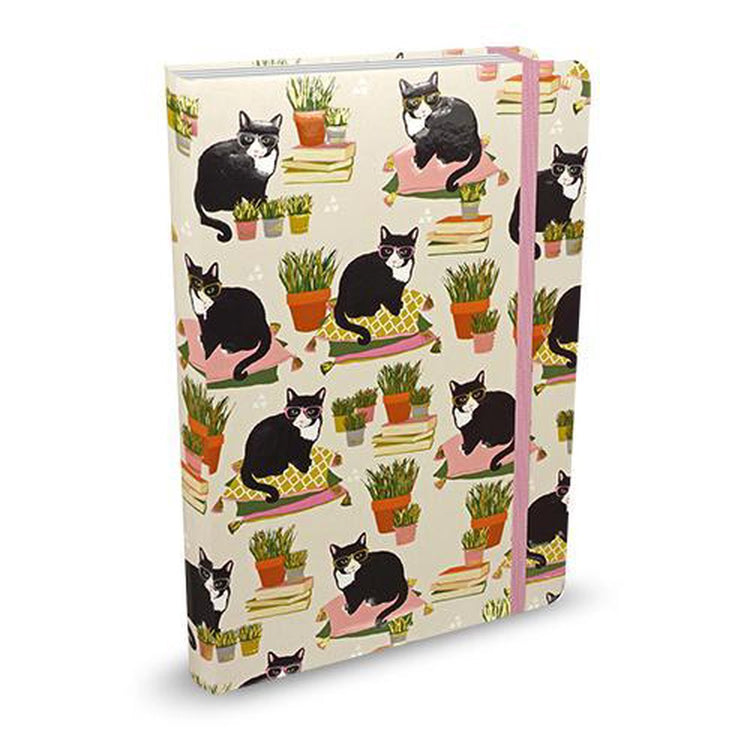 Carnet compact Peter Pauper - chats intelligents - avec fermeture élastique - 13x18 cm
