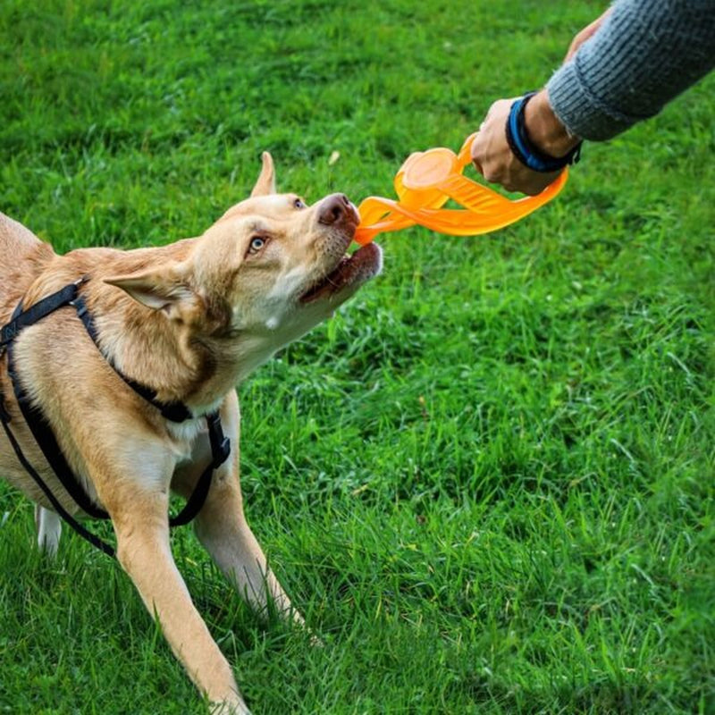 Anneau bionique à lancer et à tirer 23cm orange