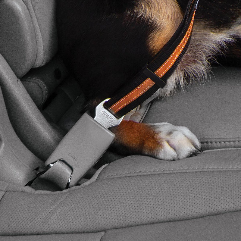 Boucle de ceinture de sécurité pour chien Kurgo - ceinture de sécurité avec mousqueton - s'adapte à toutes les ceintures de voiture - gris noir