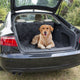 Duvo plus - couverture pour animaux - chien - couverture de protection pour valise confortable 147x120cm noir - 1pc