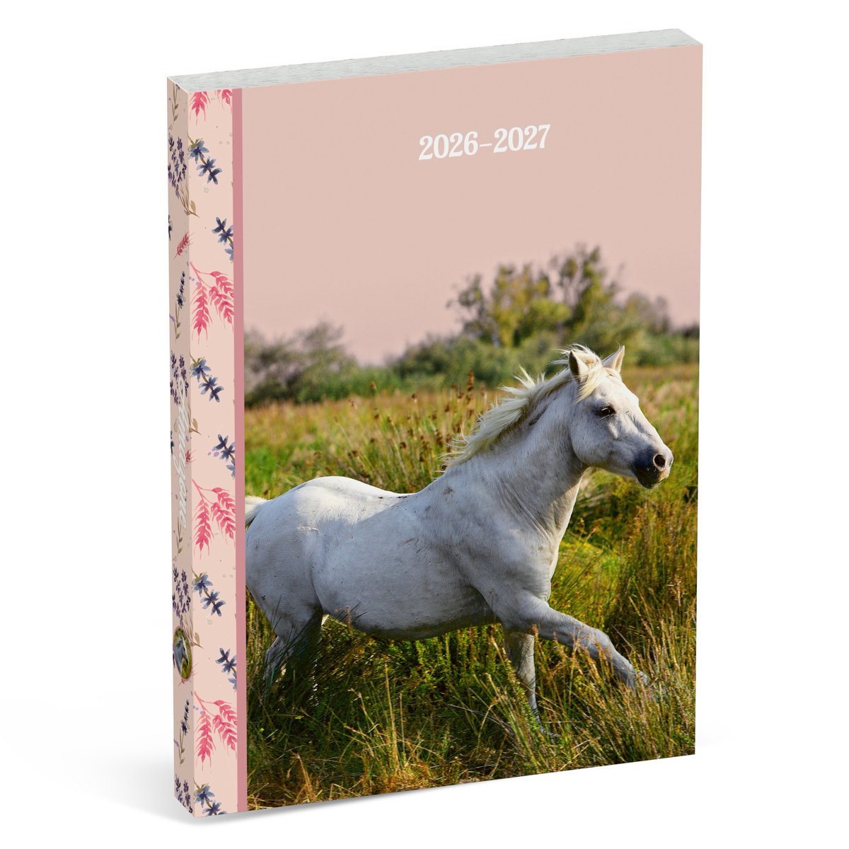 Agenda scolaire Amazon international - cheval blanc