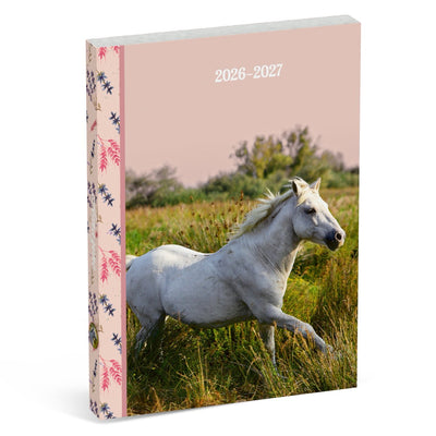 Agenda scolaire Amazon international - cheval blanc