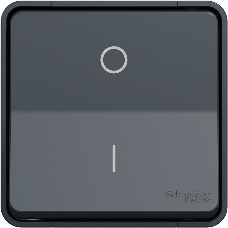 Schneider electric mureva styl diy - interrupteur bipolaire - gris anthracite