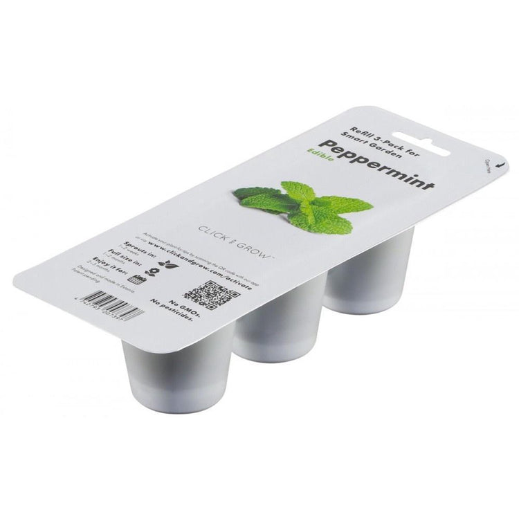 Recharge Click and Grow - menthe