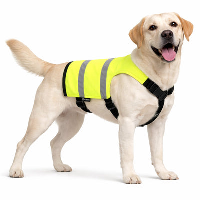 Manteau pour chien Flamingo - wasyl jaune fluo - gilet de sécurité réfléchissant - réglable - fermeture à clic - taille XL - a:51cm b:60-68cm c:87,5-112,5cm d:80-111cm