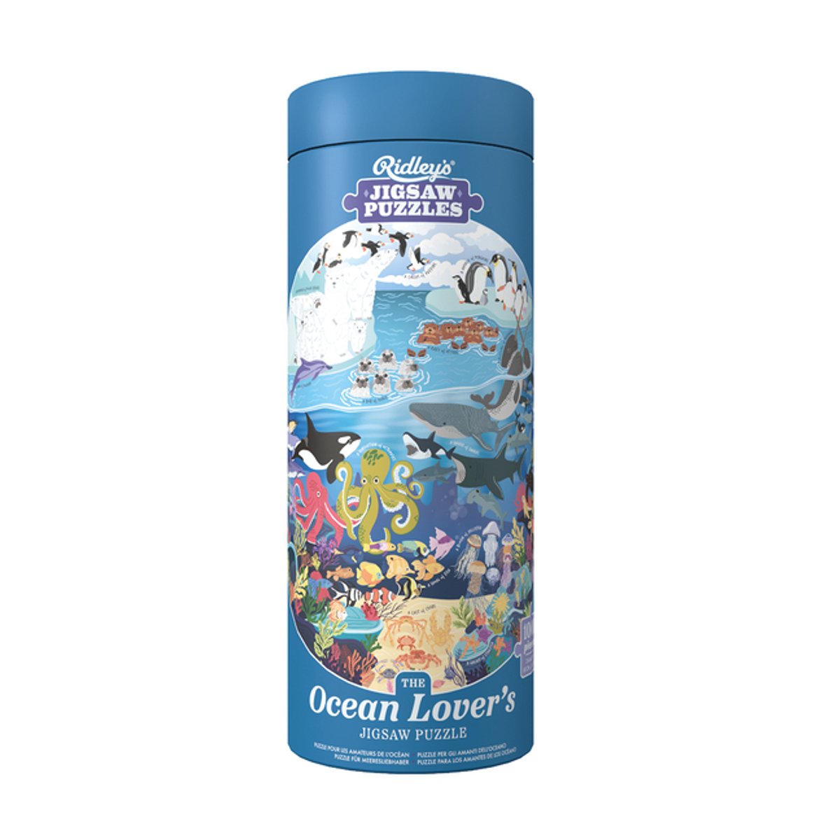 Puzzle de 1000 pièces pour les amoureux de l'océan