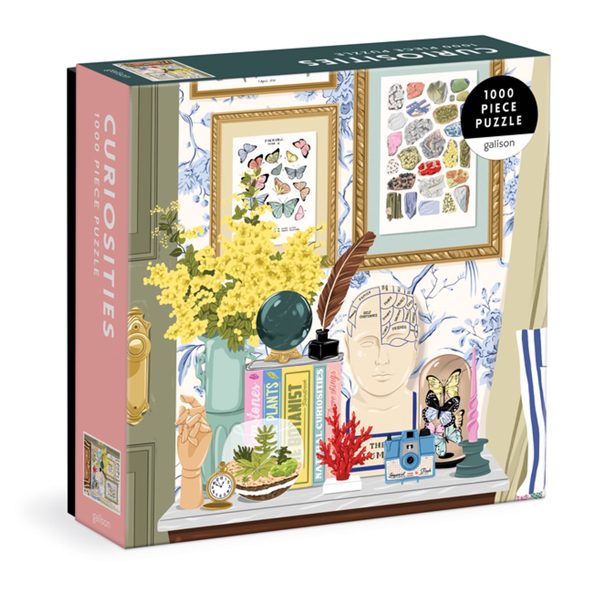 Curiosités Puzzle 1000 pièces en boîte carrée