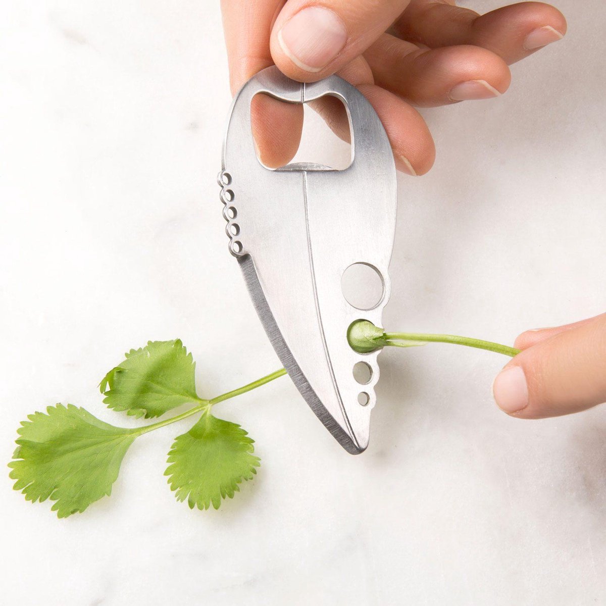 Outil multifonction à base de plantes Kikkerland