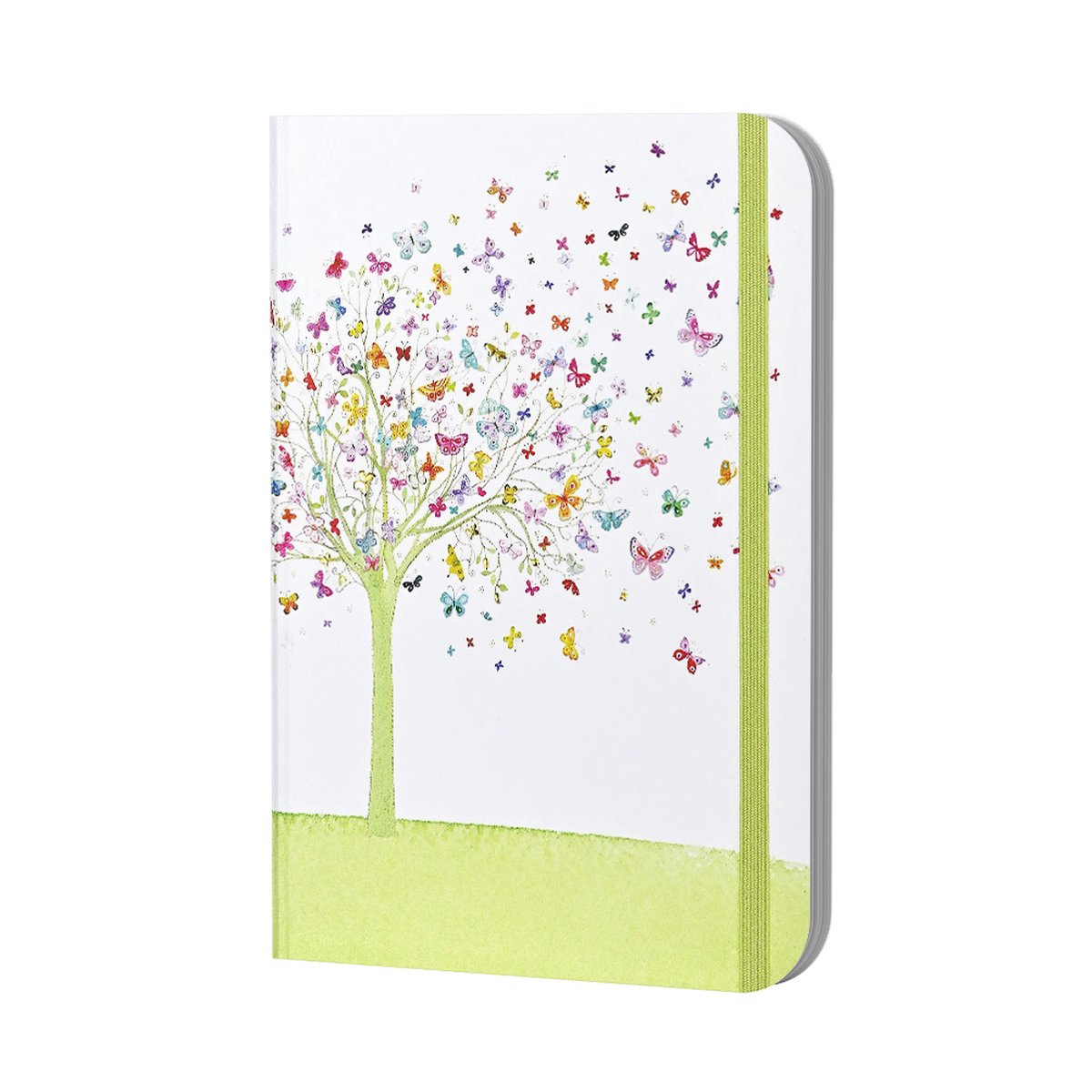 Journal de l'arbre des papillons de Peter Pauvre (journal, carnet)