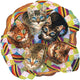 Sunsout puzzle panier de chat puzzle Linda Elliott 750 pièces en carton.