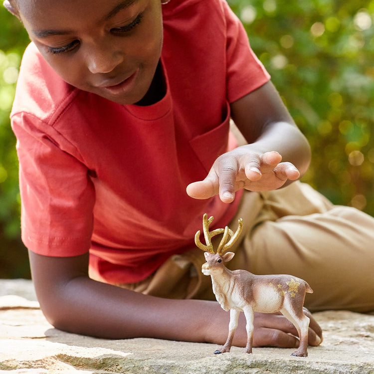 Schleich vie sauvage - renne - figurine de jeu - jouets pour enfants pour garçons et filles - 3 à 8 ans - 14837
