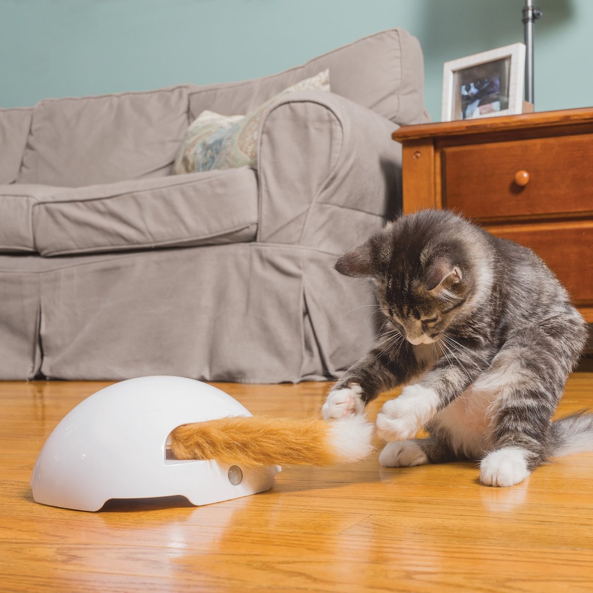 Petsafe frolicat fox den - teaser automatique pour chat - jouet pour chat