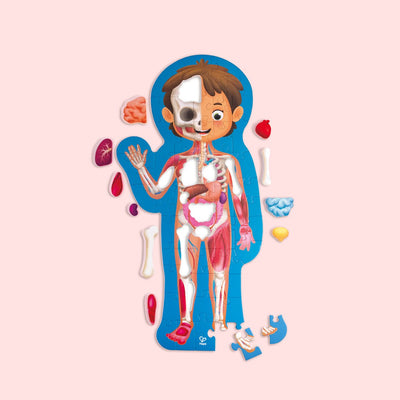 Puzzle corps humain Hape - Puzzle d'anatomie 61 pièces avec organes 3D et poster, à partir de 3 ans