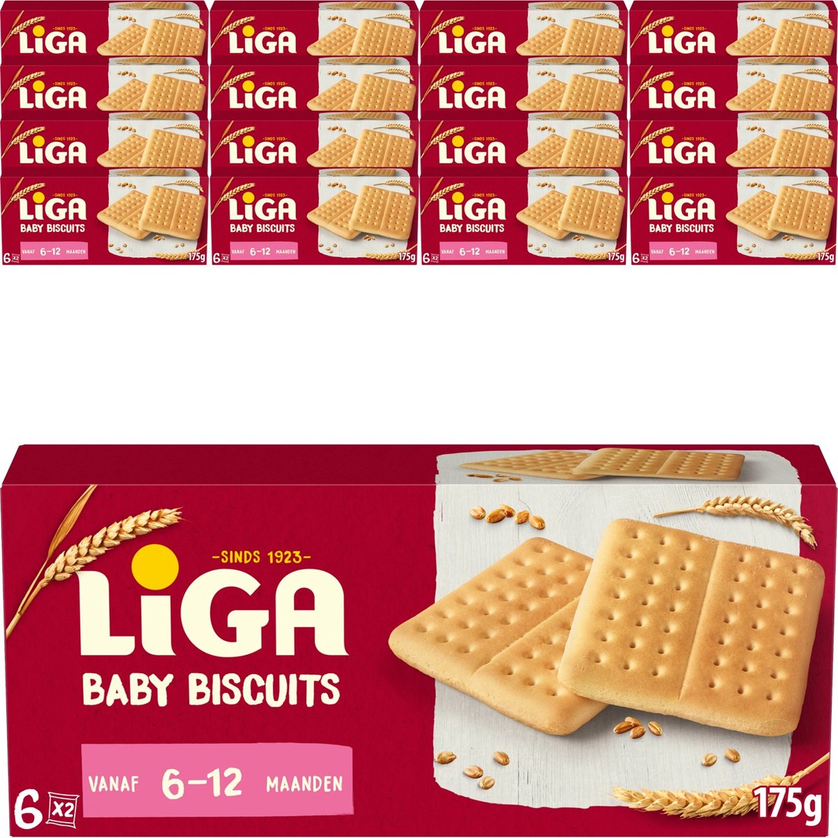 Ligue deuxième étape (16x 175gr)