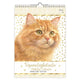Calendrier anniversaire chat Franciens jeroen - a4