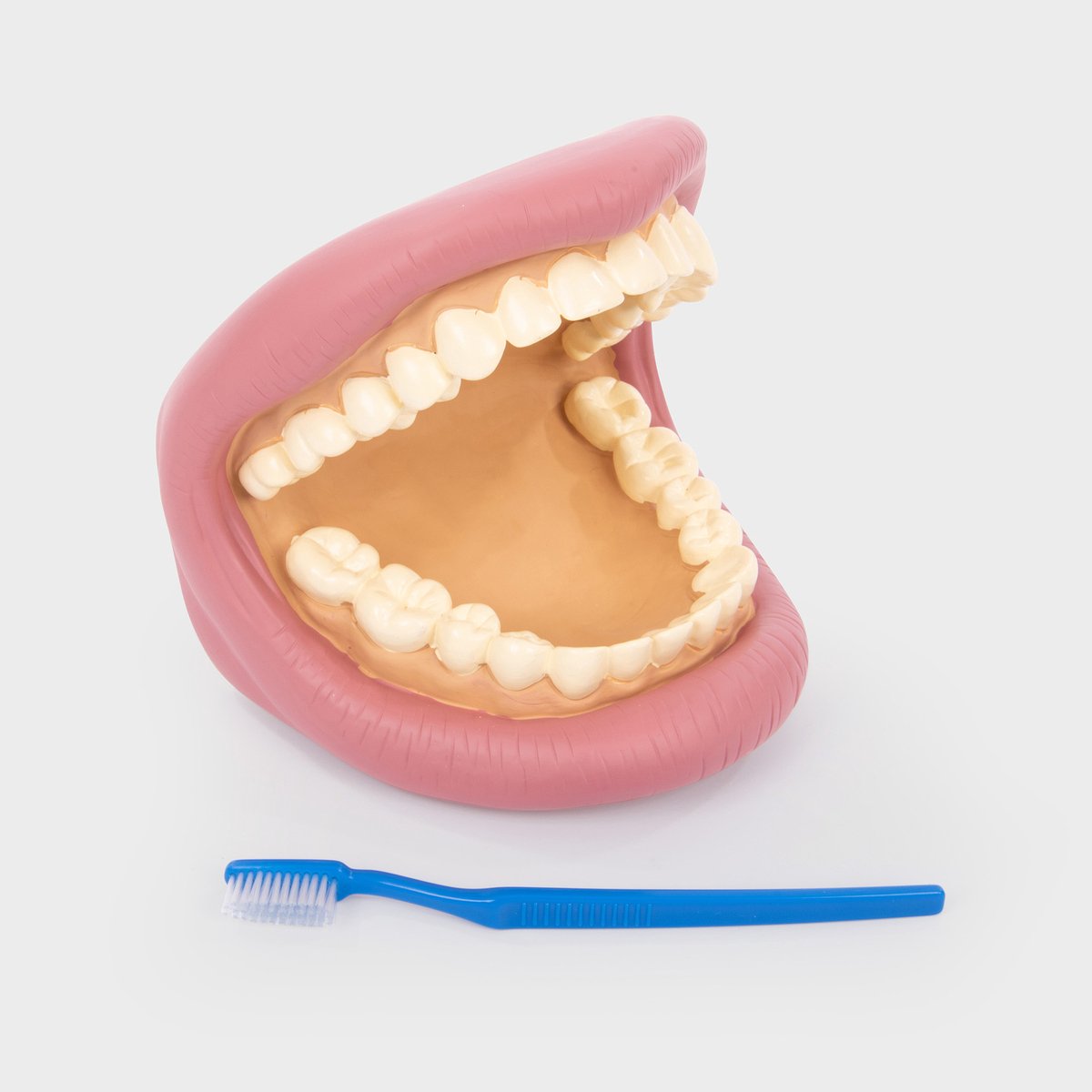 Kit dentaire dents géantes Tickit®