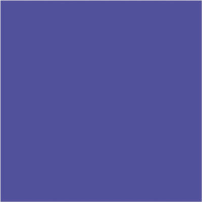 EDU3 crayons de couleur jumbo Edu3, remplissant 5 mm, violet, 10 pièces 1 boîte