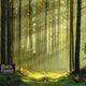 Wancelot forêt noire et