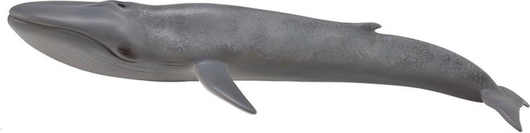 Figurine Collecta - baleine bleue - (xl) - animaux marins - peint à la main - miniature