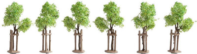 Ni les jeunes arbres avec support