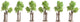 Ni les jeunes arbres avec support