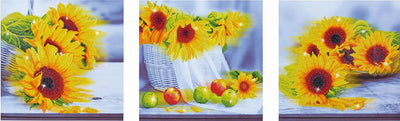 Diamond dotz® Diamond dotz dd14.001, kit de peinture diamant 5D original, jours de tournesol, paquet de bricolage avec 28 144 pierres rondes, dotz pour adultes, paquet de loisirs env. 142 x 42 cm pour les enfants à partir de 8 ans