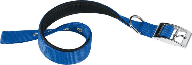 Ferplast collier pour chien daytona 43 x 2 cm acier nylon bleu