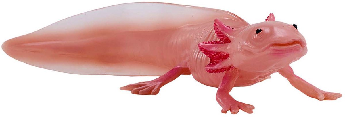 Mojo Wildlife Axolotl 381108