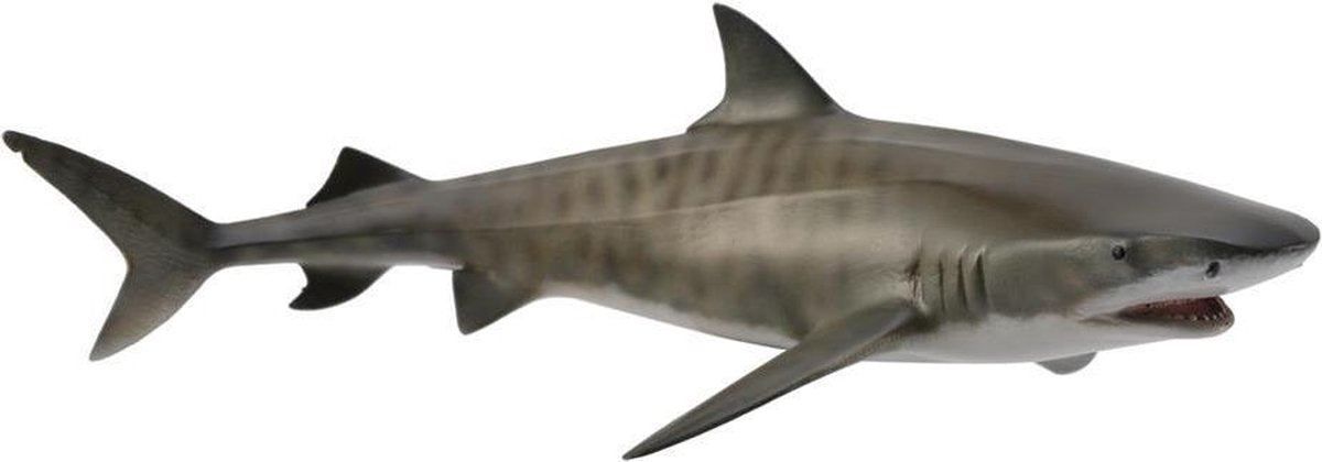 Figurine Collecta - requin tigre - (l) - animaux marins - peint à la main - miniature