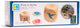 BS Toys Birds in Action Hout Child Game