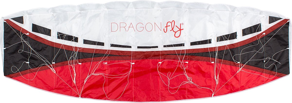 Mouche dragon