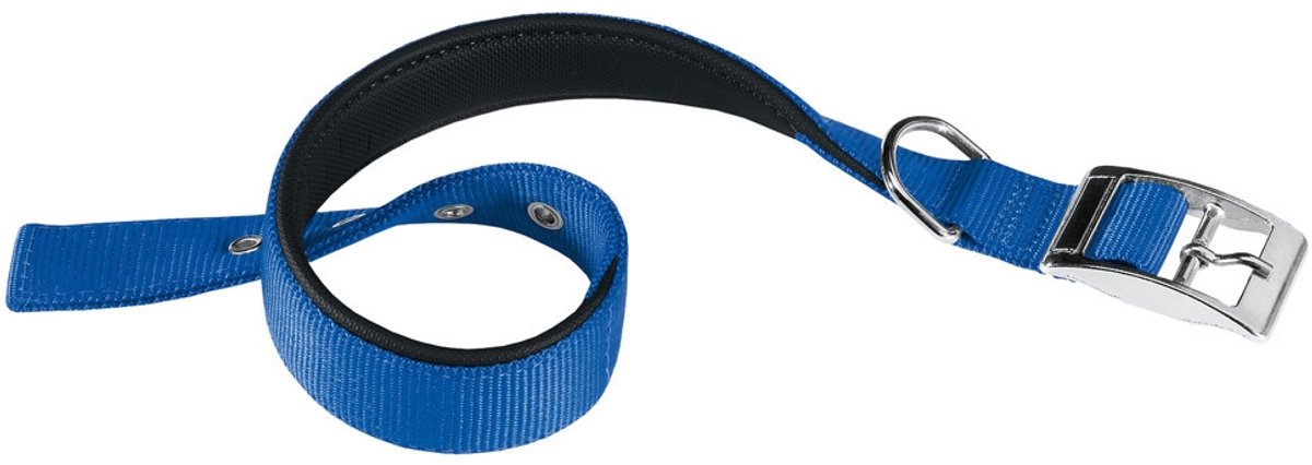 Ferplast collier pour chien daytona 53 x 2,5 cm acier nylon bleu