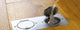 Prise murale au sol Legrand - double - IP44 - résistante aux chocs - inox