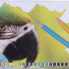 Crayons de couleur Bruynzeel Parrot 45