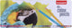 Crayons de couleur Bruynzeel Parrot 45