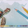Bruynzeel Turtle peut 45 crayons de couleur