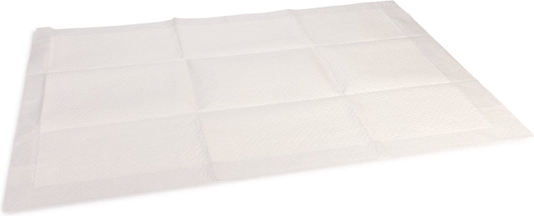 Tapis de dressage pour chiots Beeztees - toilette pour chien - l - 10 pcs