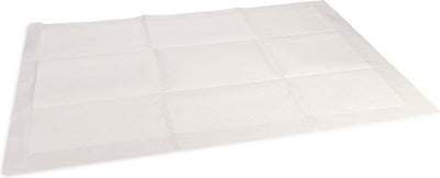 Tapis de dressage pour chiots Beeztees - toilette pour chien - l - 10 pcs