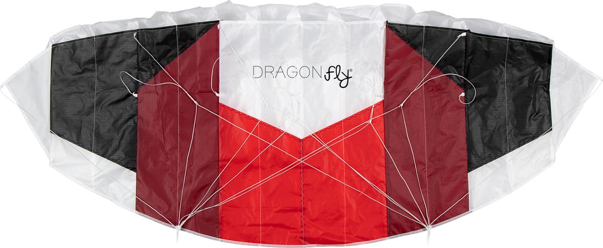 Mouche dragon