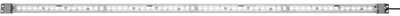 Éclairage machine LED Idec lf1b-nf3p-2thww2-3m blanc 17,3 W 1200 lm 24 V DC (L x L x H) 1080 x 27,5 x 16 mm 1 pièce(s)