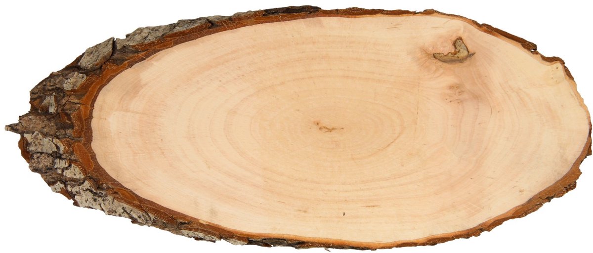 Faites votre propre écorce d'arbre signalétique, 30 cm
