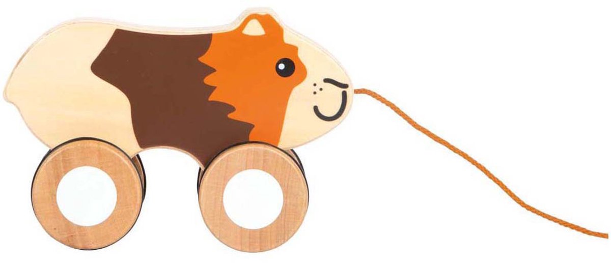 Petit pied - Trekcavie en bois